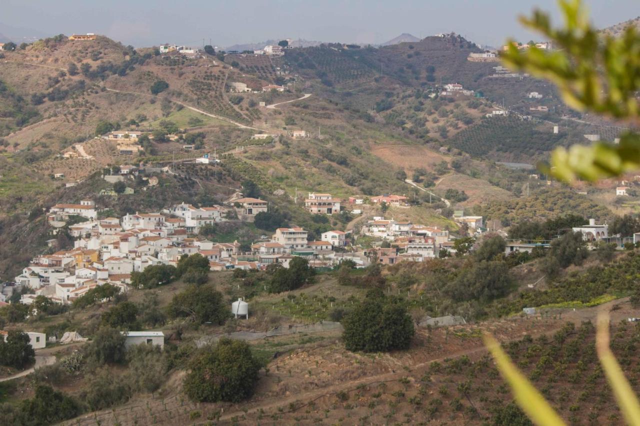 فيليز-مالاغا Finca La Vida Tranquila المظهر الخارجي الصورة