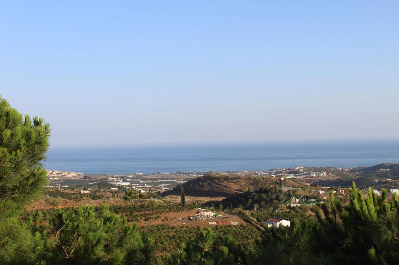 فيليز-مالاغا Finca La Vida Tranquila المظهر الخارجي الصورة
